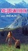 Медвежонок Серия: Игривая книжка инфо 3315z.